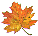 Autumn_Graphics